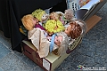 VBS_1528 - Mercatino dell'Antiquariato e dell'Hobbismo - Giugno 2025